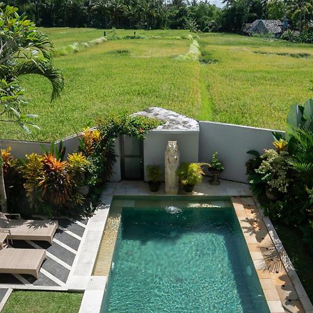 Ananditha Villa Ubud Ricefield Views Luaran gambar
