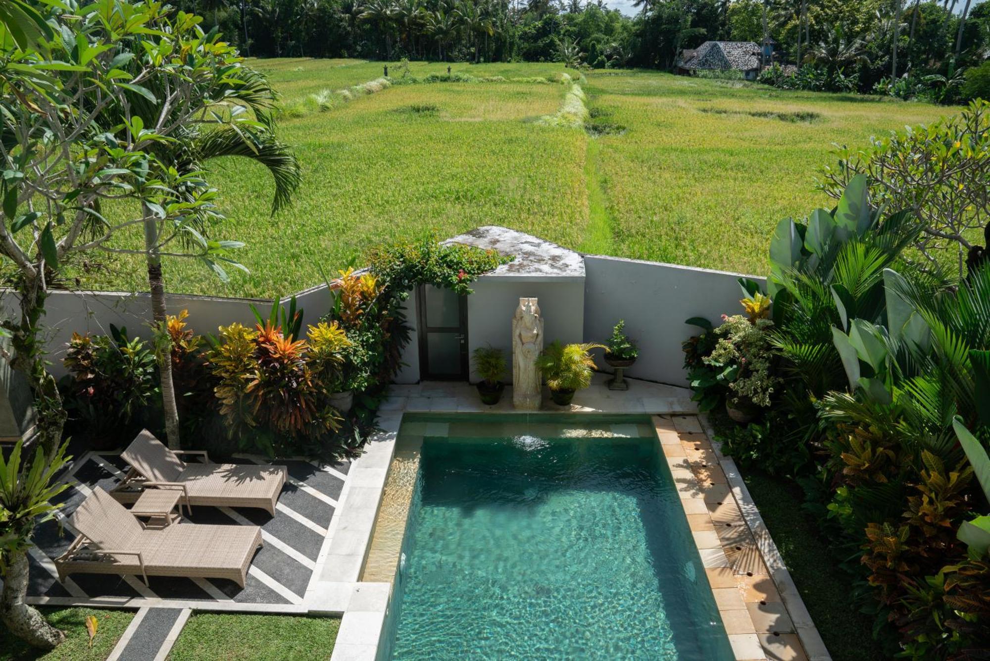 Ananditha Villa Ubud Ricefield Views Luaran gambar